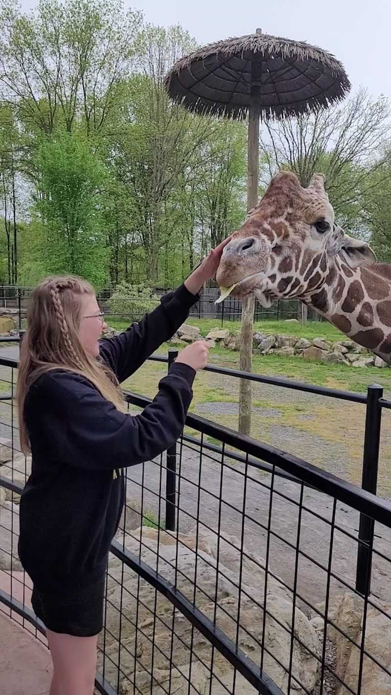 Cleanliness, Staff, And Overall Atmosphere