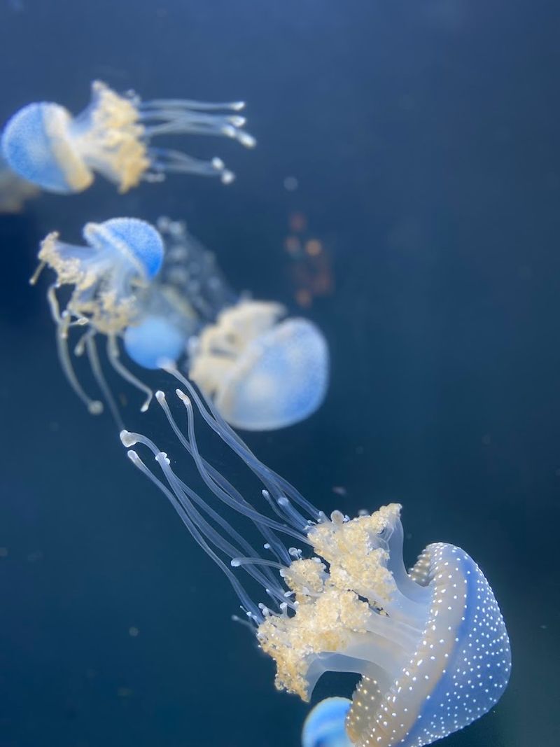 Practical Tips For Getting The Most From Your Visit