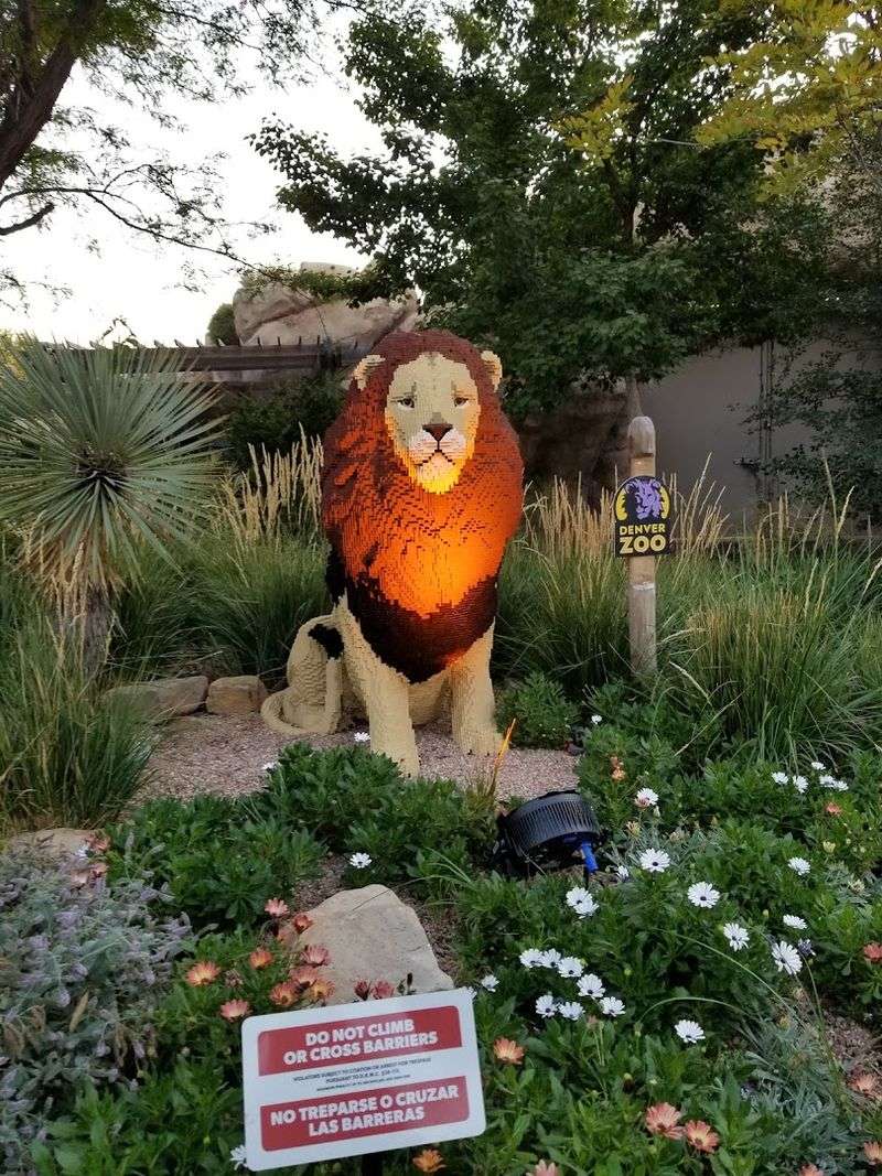 Lions: A Roar That Rearranges Your Priorities