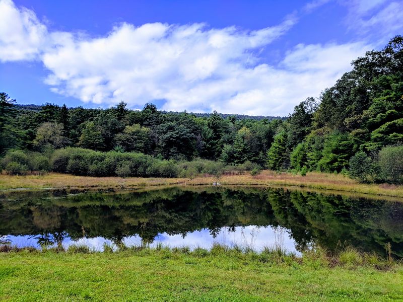 Penn-Roosevelt State Park Campground, Huntingdon, PA