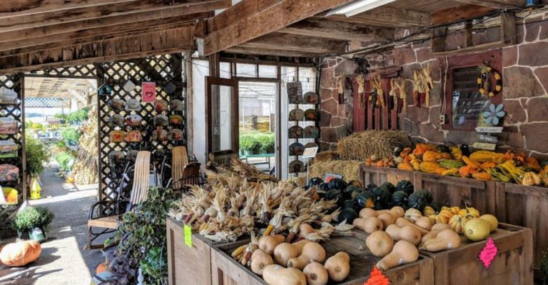 Pennsylvania’s Amish Grocery Store Making Homemade Sandwiches You’ll Want All March