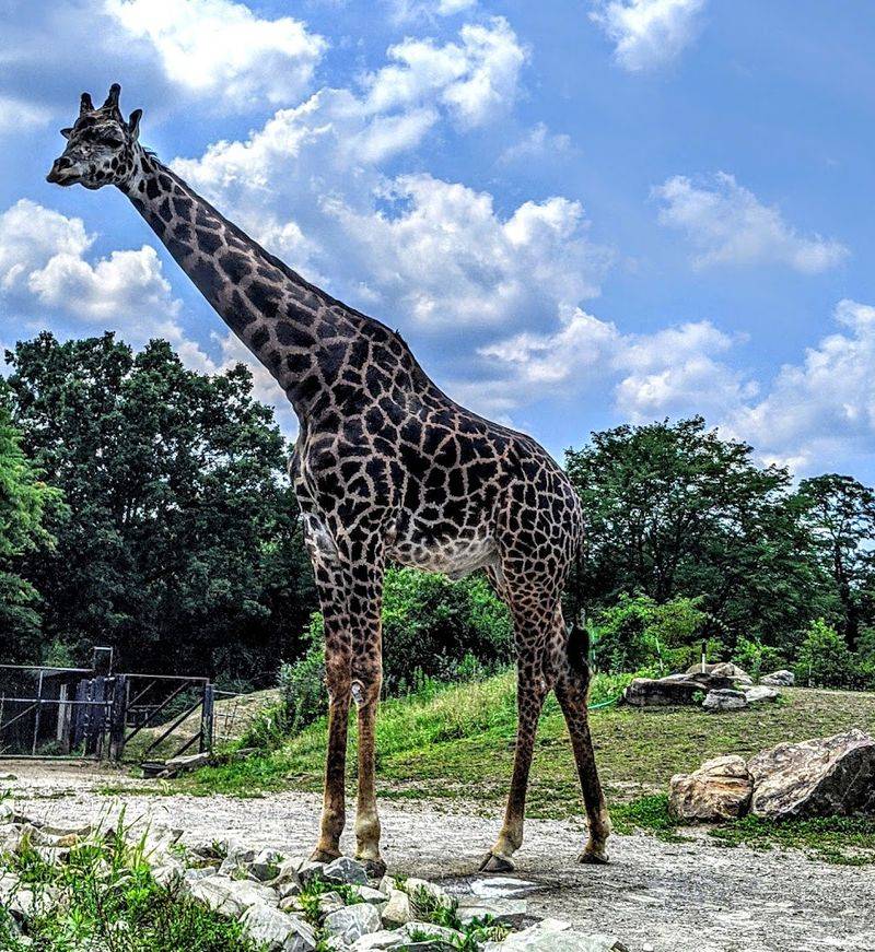 The Zoo Covers 77 Acres of Hilly Pittsburgh Terrain
