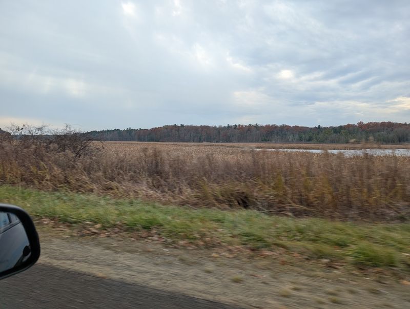 Pentwater River State Game Area - Oceana County