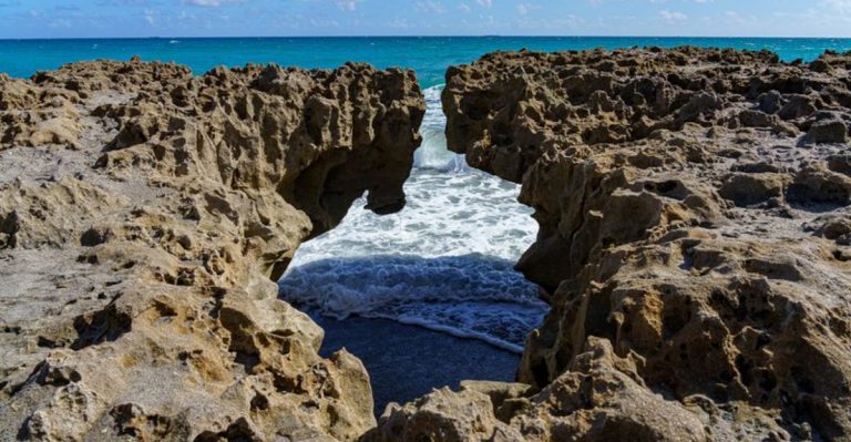 People Drive From All Over Florida For The Enormous 300-Million-Year-Old Rock Formation