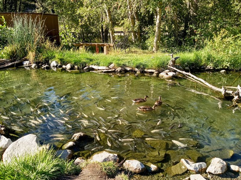 People Have Trusted These Springs For Centuries People Have Trusted These Springs For Centuries
