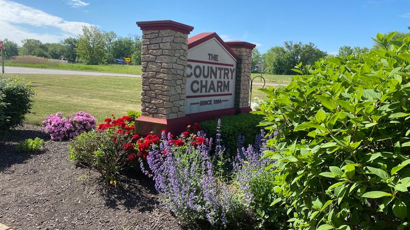 A Hidden Gem For Comfort Food