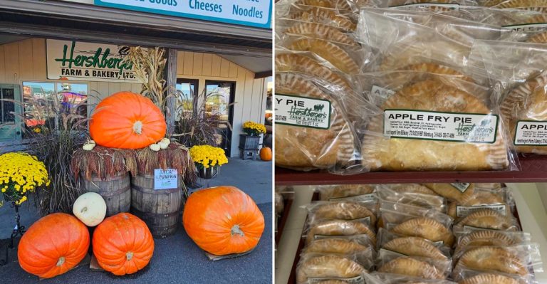 People Travel Far And Wide For The Fried Pies At This Ohio Amish Bakery