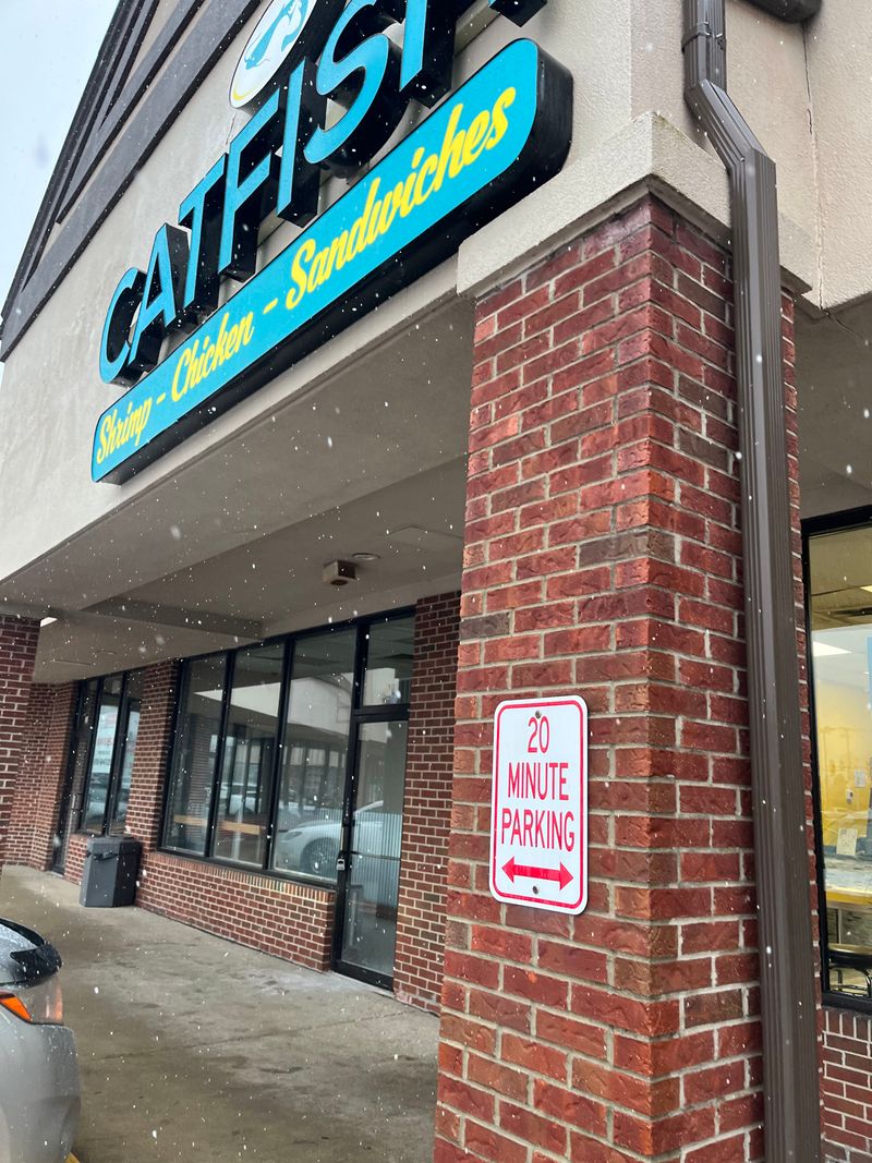 Catfish – Chicken, Sandwich, Gyros & More (Catfish Crest Hill), 2400 Caton Farm Rd, Crest Hill