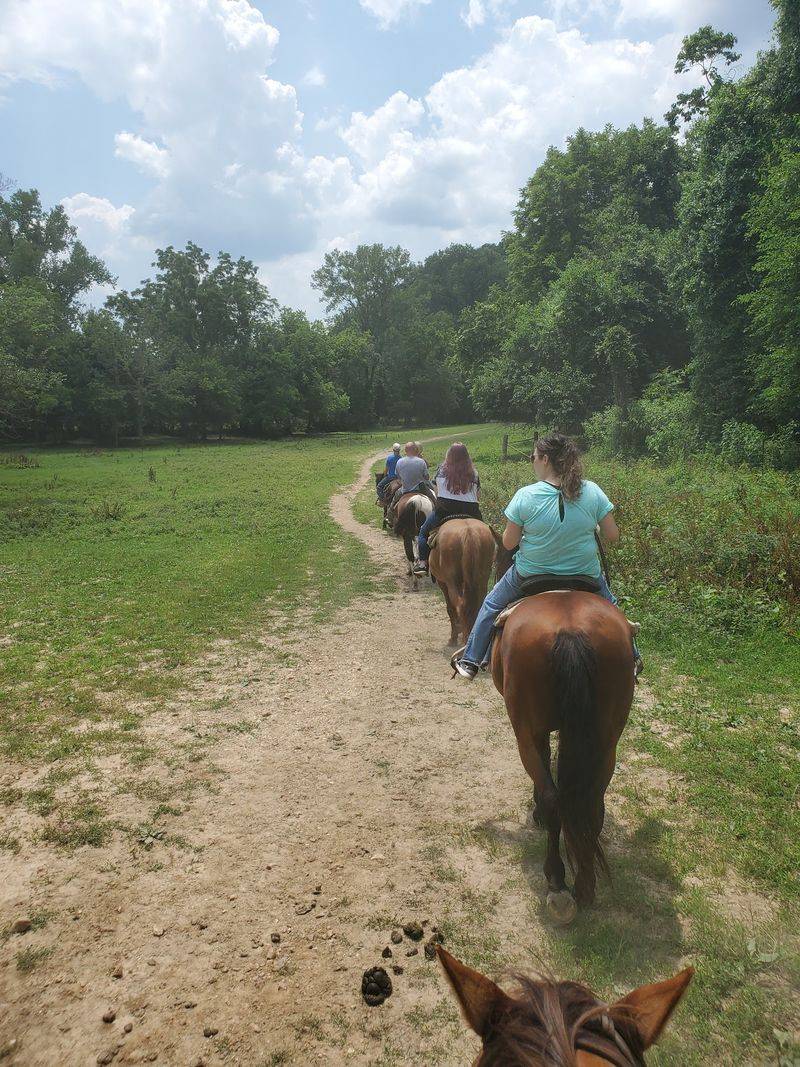 Pere Marquette Riding Stables