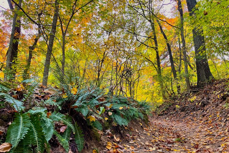 Pere Marquette State Park Trails