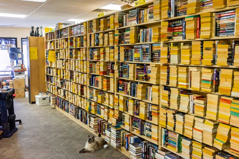 The Book Haven, Prescott Valley, AZ