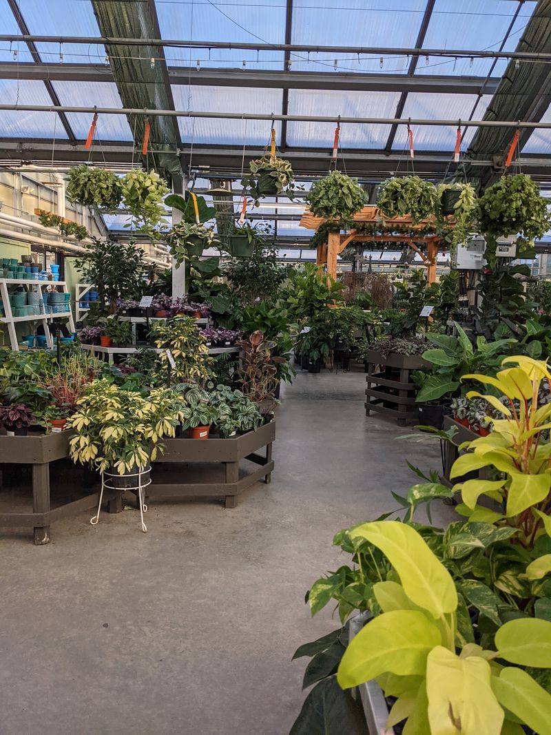 Perennials For Every Garden Perennials For Every Garden