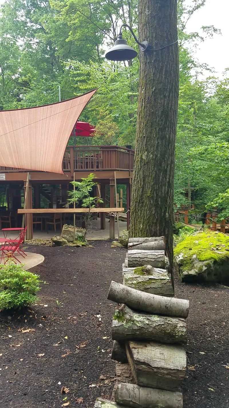 Seasonal Beauty Transforms Your Dining Experience