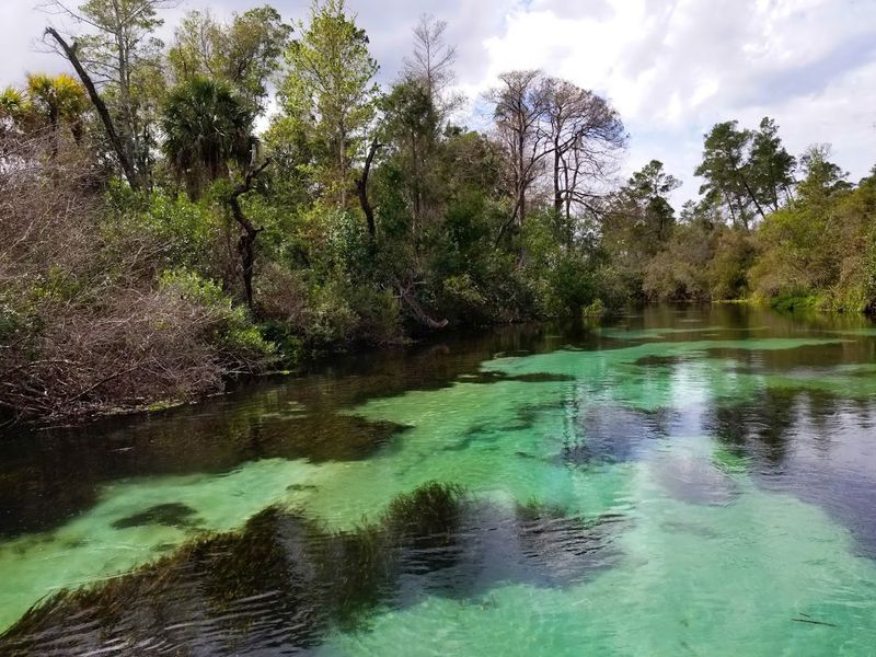 Perfect Day Trip Distance From Major Florida Cities