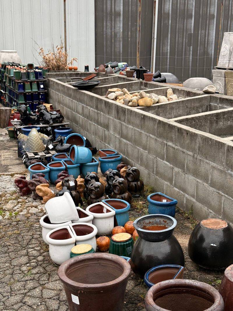 Perfect For Home Gardens And Commercial Projects Alike