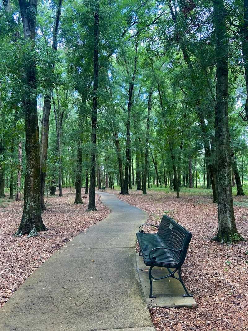 Yoga, Meditation, And Mindful Events