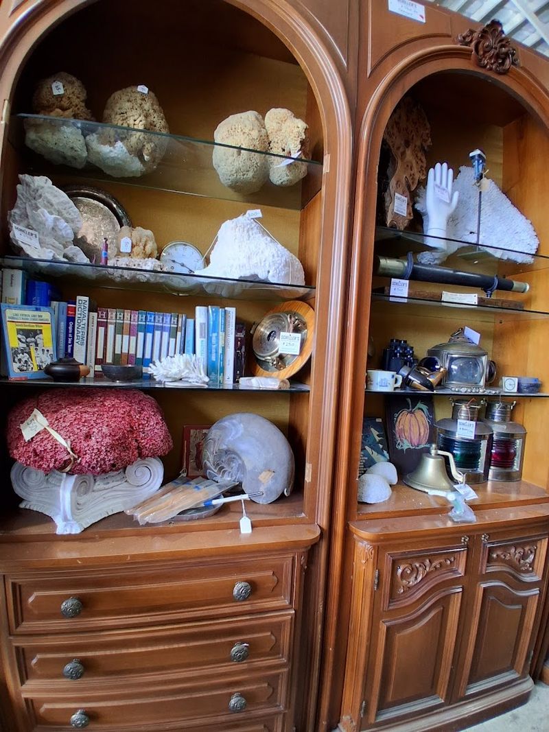 Owner's Passion Shows In Every Detail