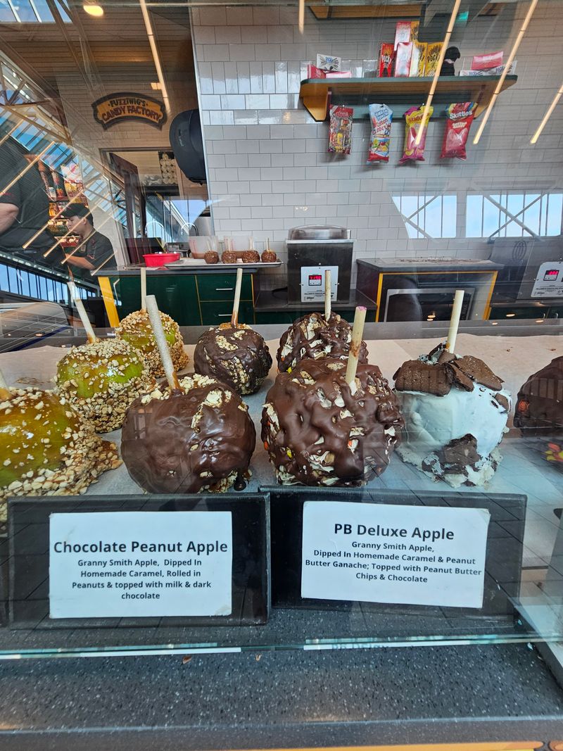 A February Destination Worth The Trip