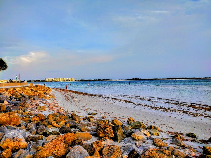 Shelling Paradise After High Tide