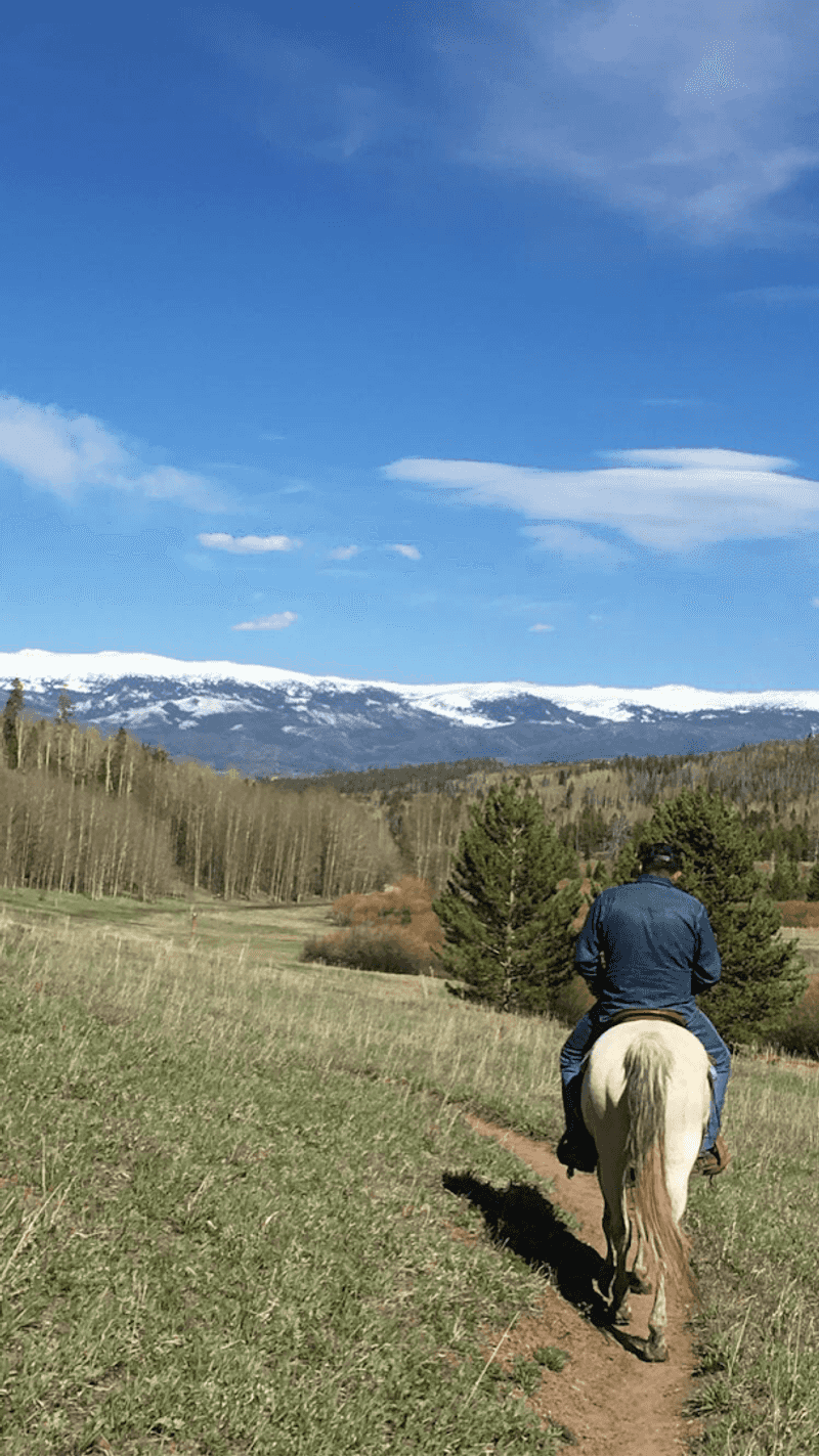 Booking Smart: Last-Minute Works, But Here Is What to Know