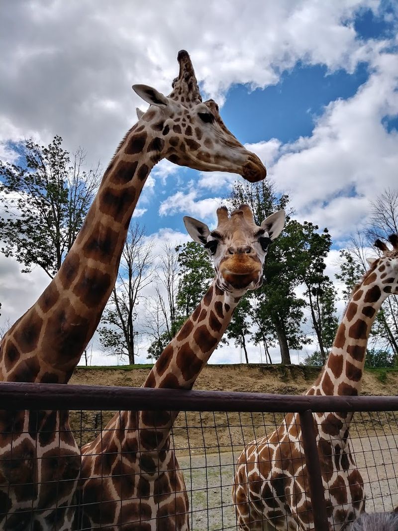 Why This Place Stays With You Long After You Leave