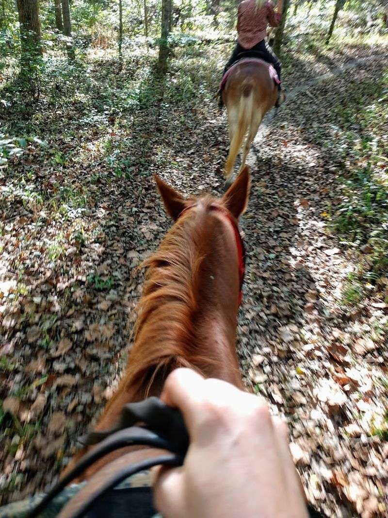 Scenic Woodland Trails 