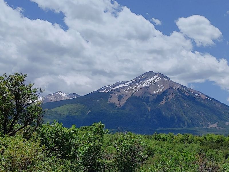Spring on Grand Avenue: When Paonia Decides to Show Off a Little