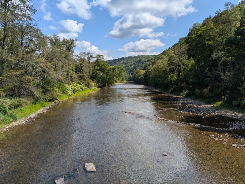 Oil Creek (Oil Creek State Park)