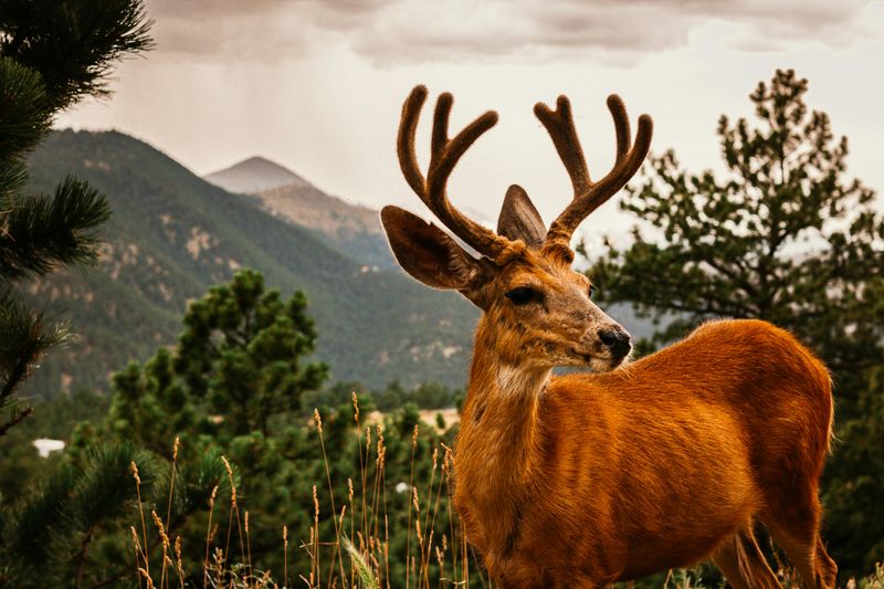 Wildlife And Desert Life: What To Watch For Along The Way