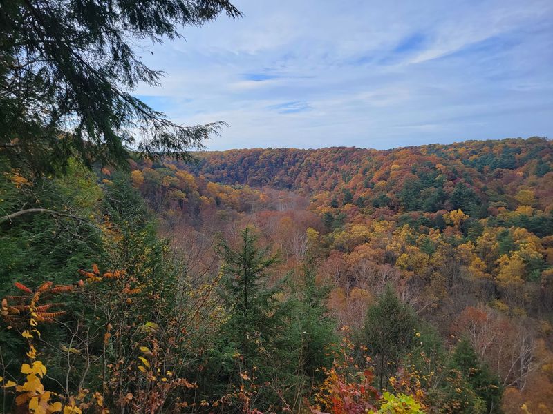 Perrysville, Mohican Region