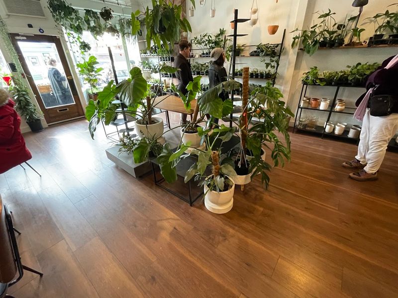 The Atmosphere That Customers Cannot Stop Describing