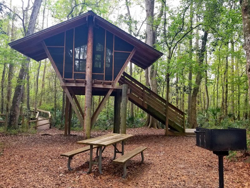 Pet Friendly And Family Ready
