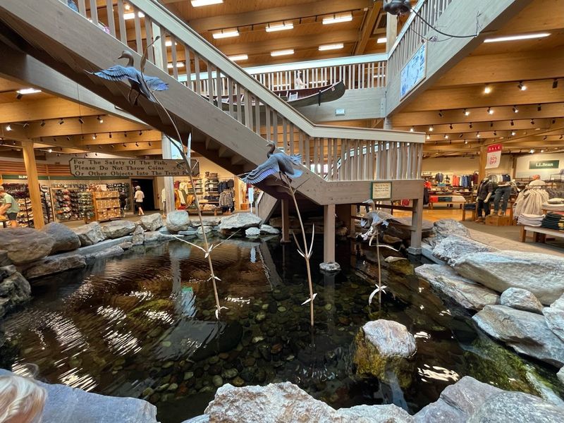 Pet-Friendly Shopping At Its Best