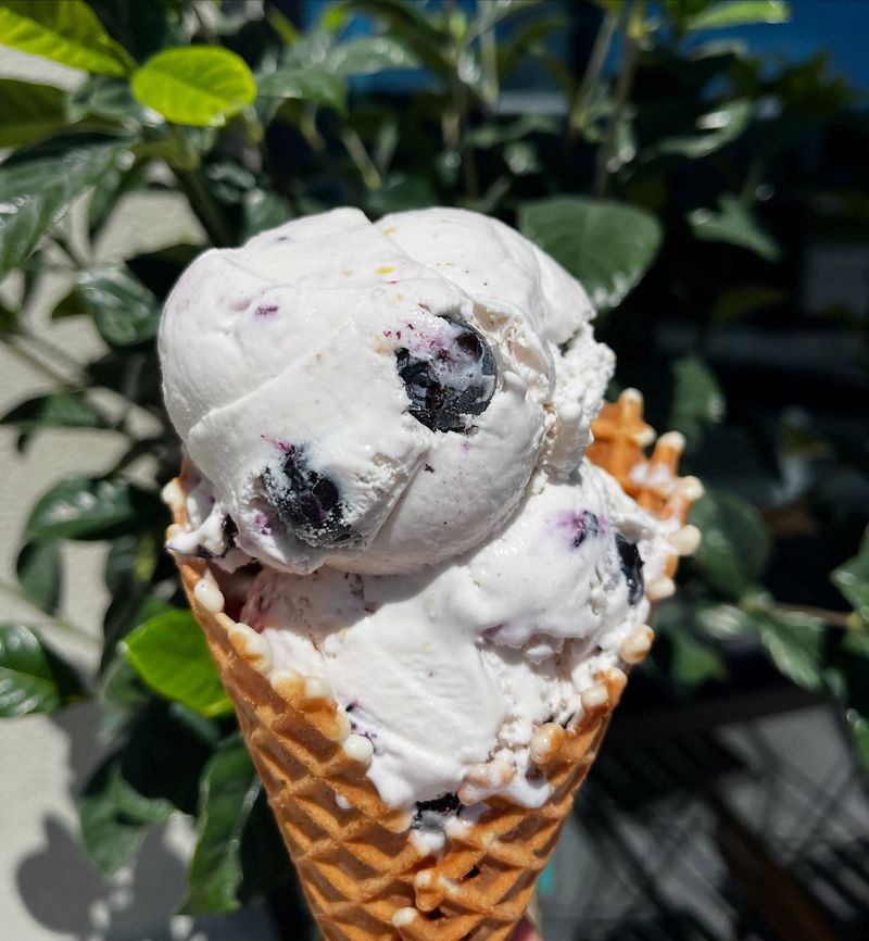 Scoops – Maine
