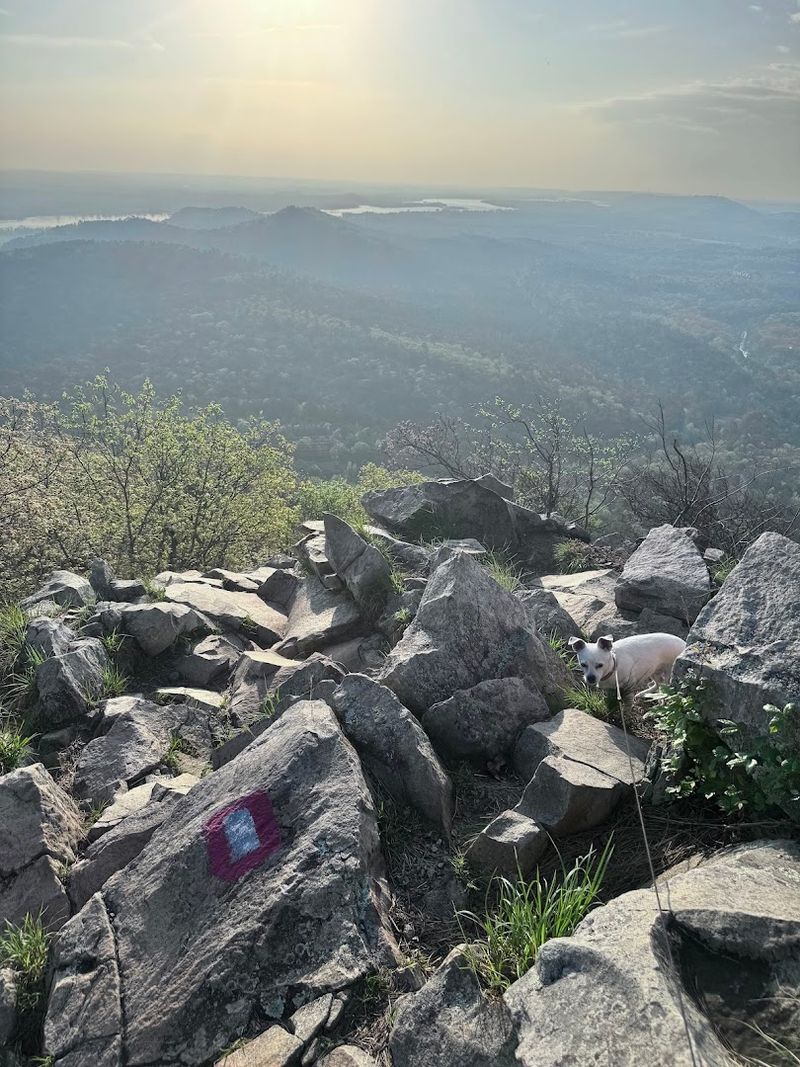 Pinnacle Mountain State Park, Roland