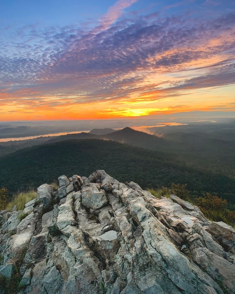 Pinnacle Mountain State Park, Roland