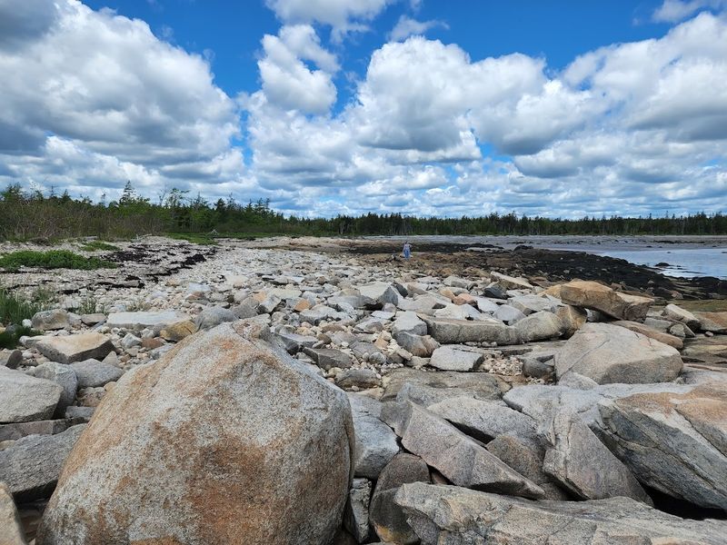Petite Manan Point, Steuben