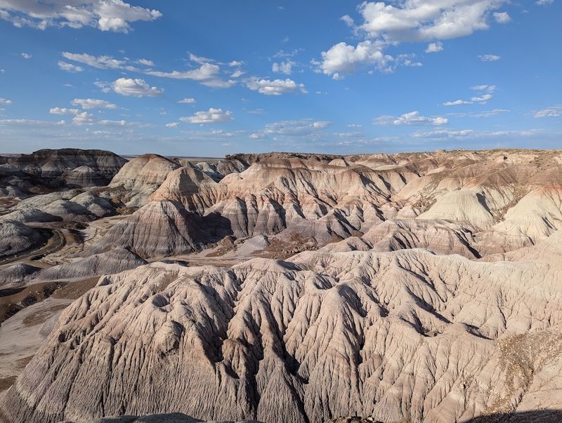 Petrified Forest National Park, Northeastern Arizona