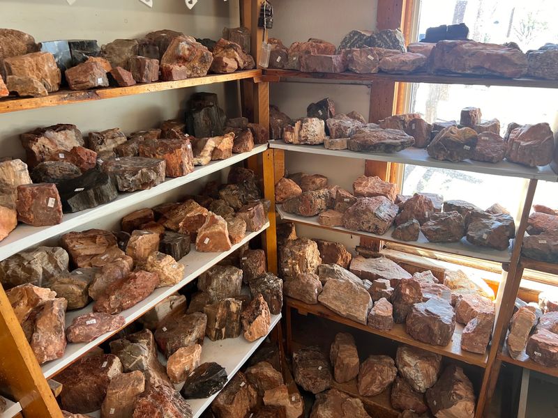 Petrified Wood, Moccasins, And Jewelry Worth Lingering Over Petrified Wood, Moccasins, And Jewelry Worth Lingering Over