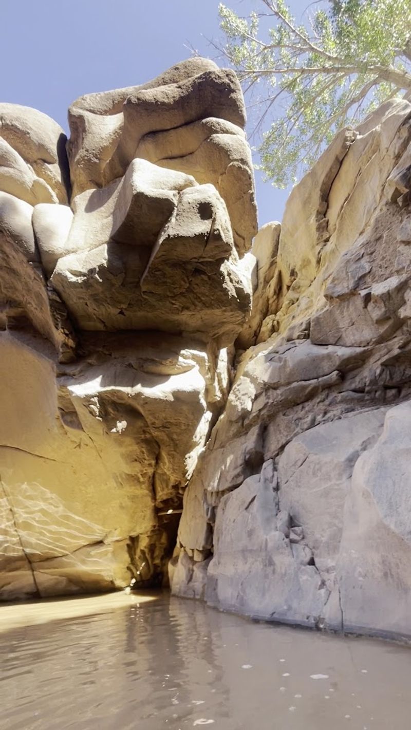 Petroglyphs Carved Into Sandstone That Predate Every Trail Sign