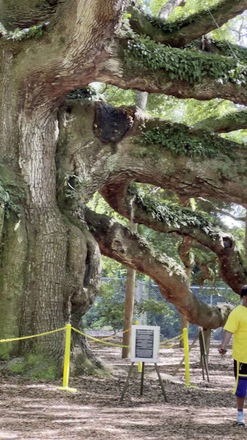 Pets Are Welcome But Must Stay Behind The Designated Rope Line