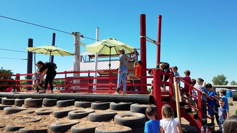 Petting Zoo And Pig Races