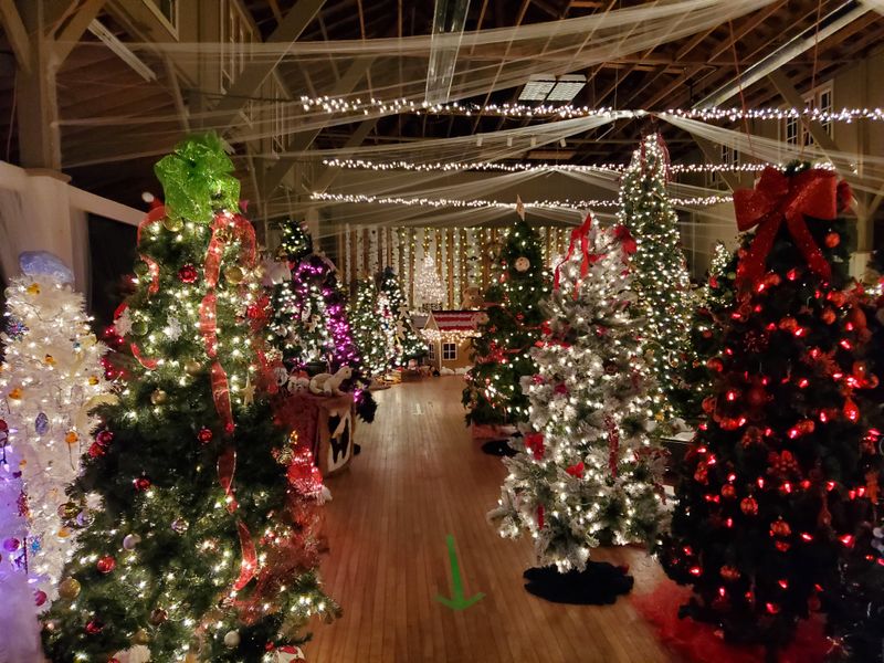 Rosholt – Enchanted Forest Light Display