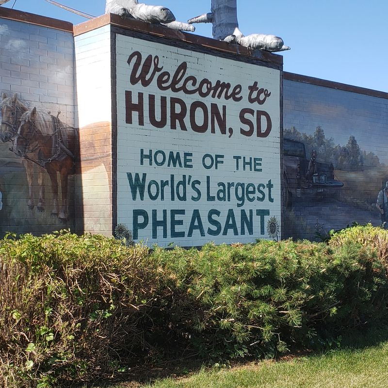 Pheasant Season Turns Fall Into A Big Deal Pheasant Season Turns Fall Into A Big Deal