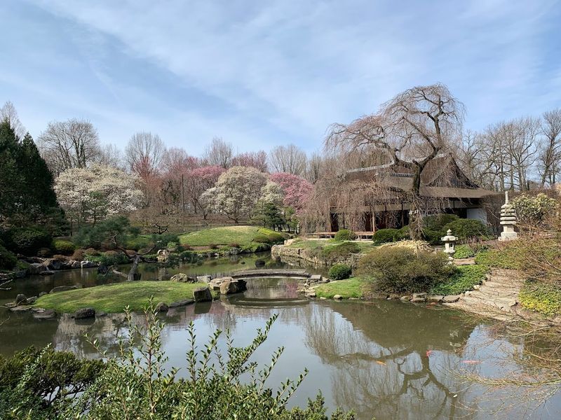 Koi Fish Are One Of The Most Popular Parts Of The Visit