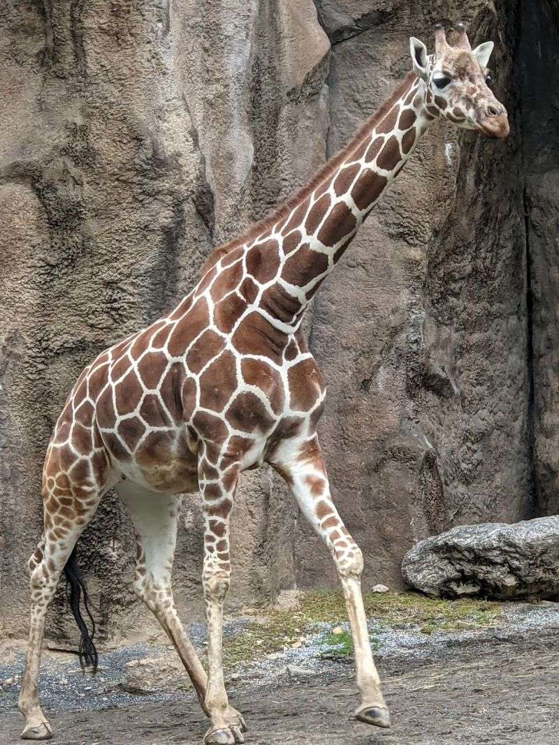 Philadelphia Zoo, Philadelphia, Pennsylvania