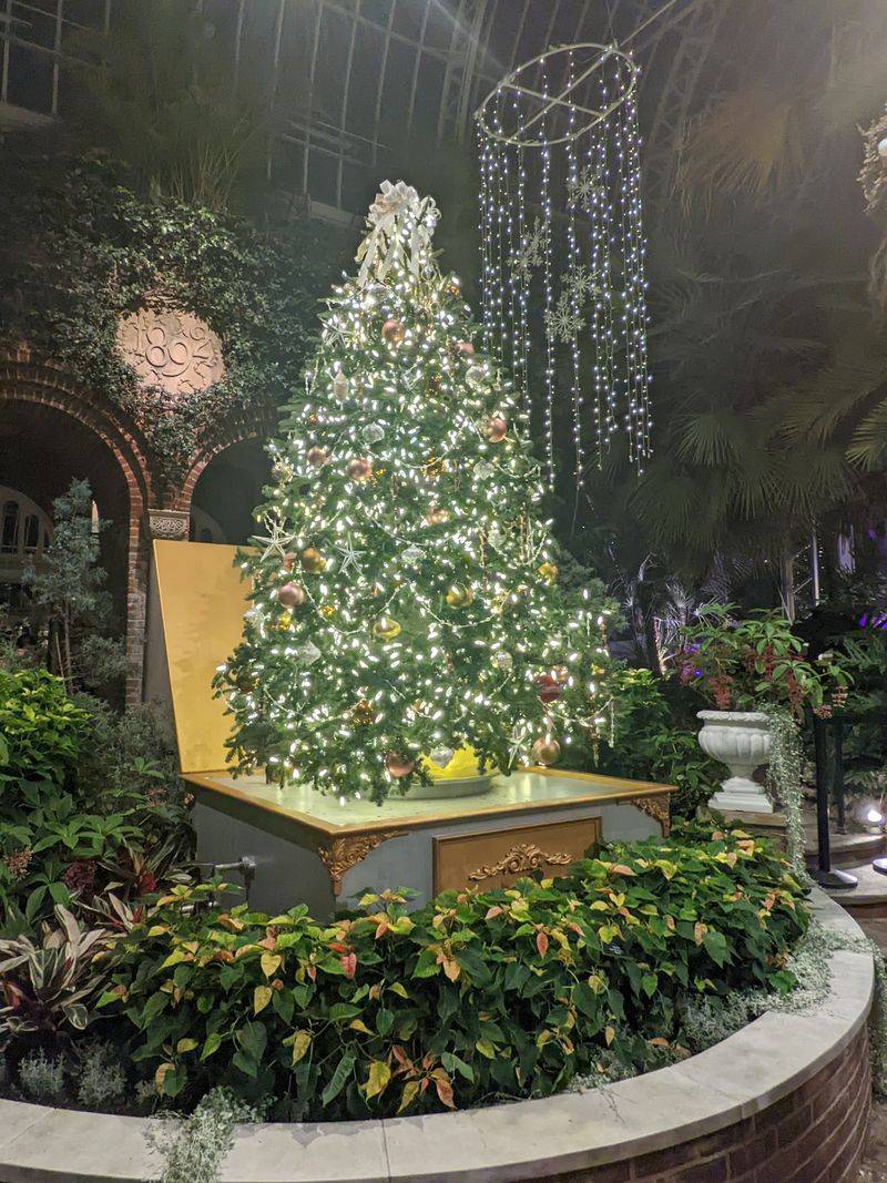 Pittsburgh – Phipps Conservatory Holiday Magic