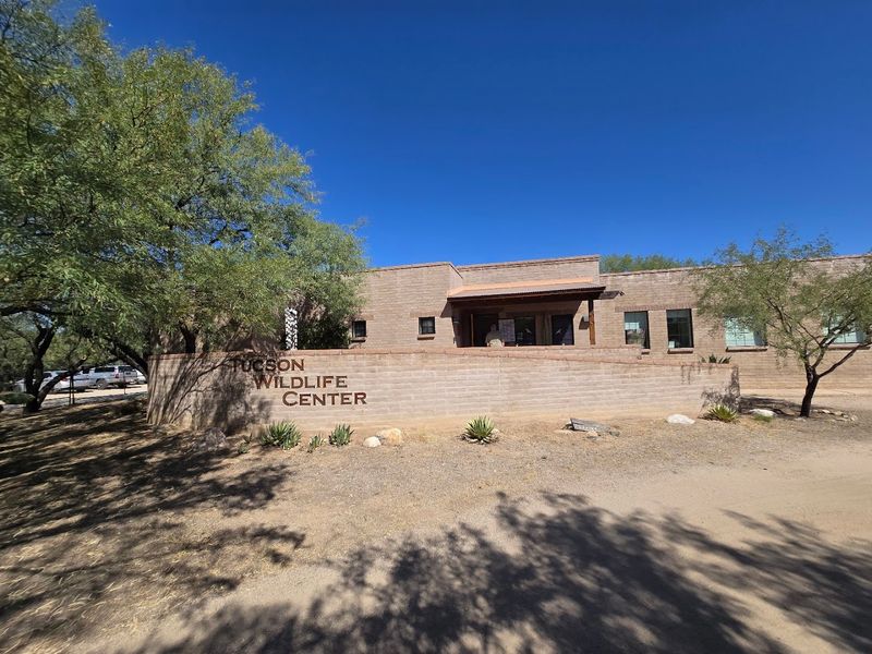 Tucson Wildlife Center Shows A More Compassionate Side Of Arizona Wildlife Care