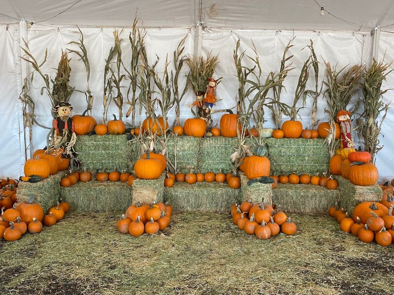 Photo Backdrops Made for Family Snapshots