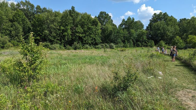 The Pollinator Walk and Beyond